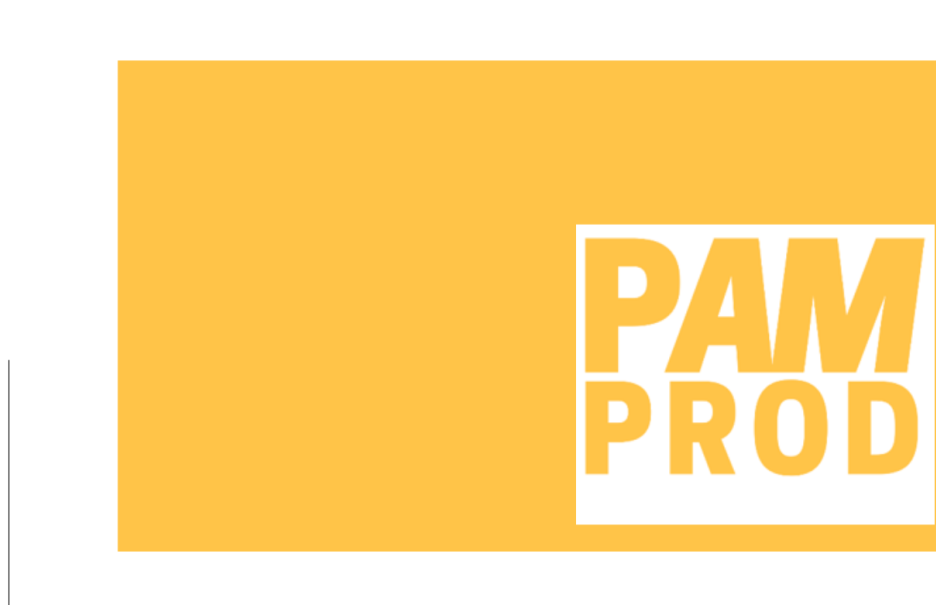 pamprod-page-linkedin